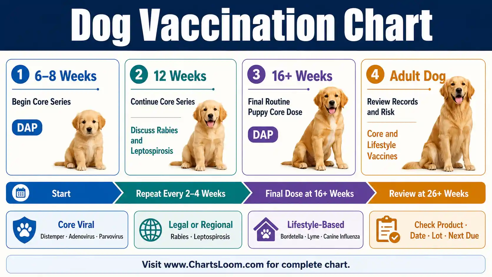 Dog Vaccination Chart showing puppy core series, adult revaccination, rabies rules and lifestyle-based vaccines