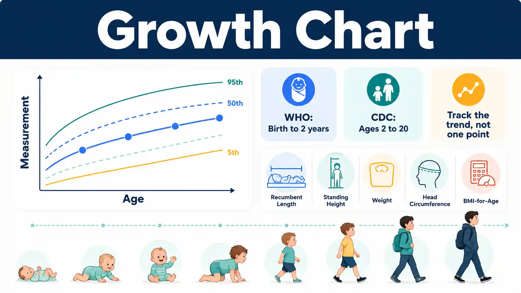 Growth Chart showing child height, weight, BMI, percentiles, age ranges, and growth trend interpretation