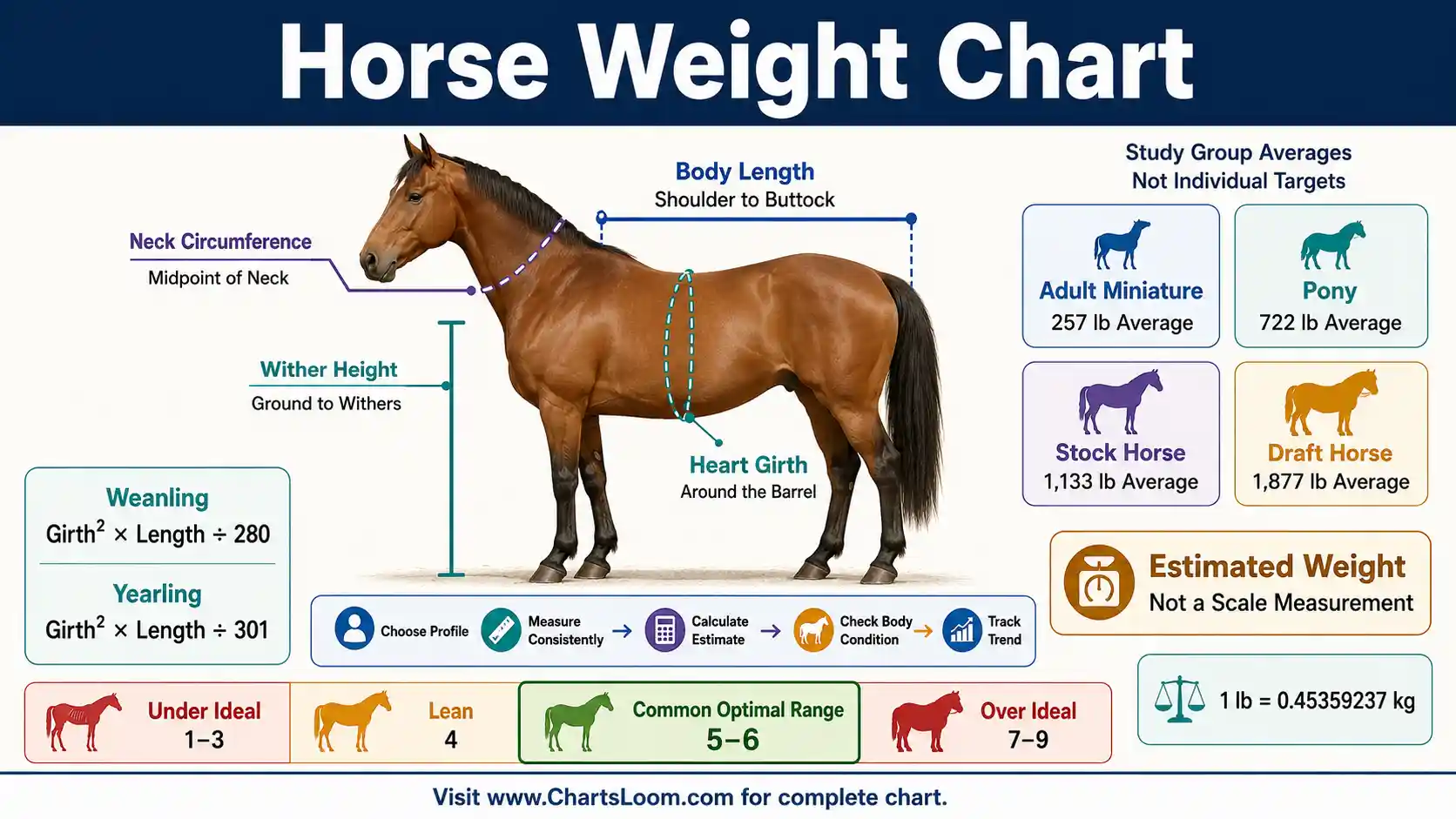 Horse Weight Chart showing heart girth, body length, estimated weight and body condition scoring