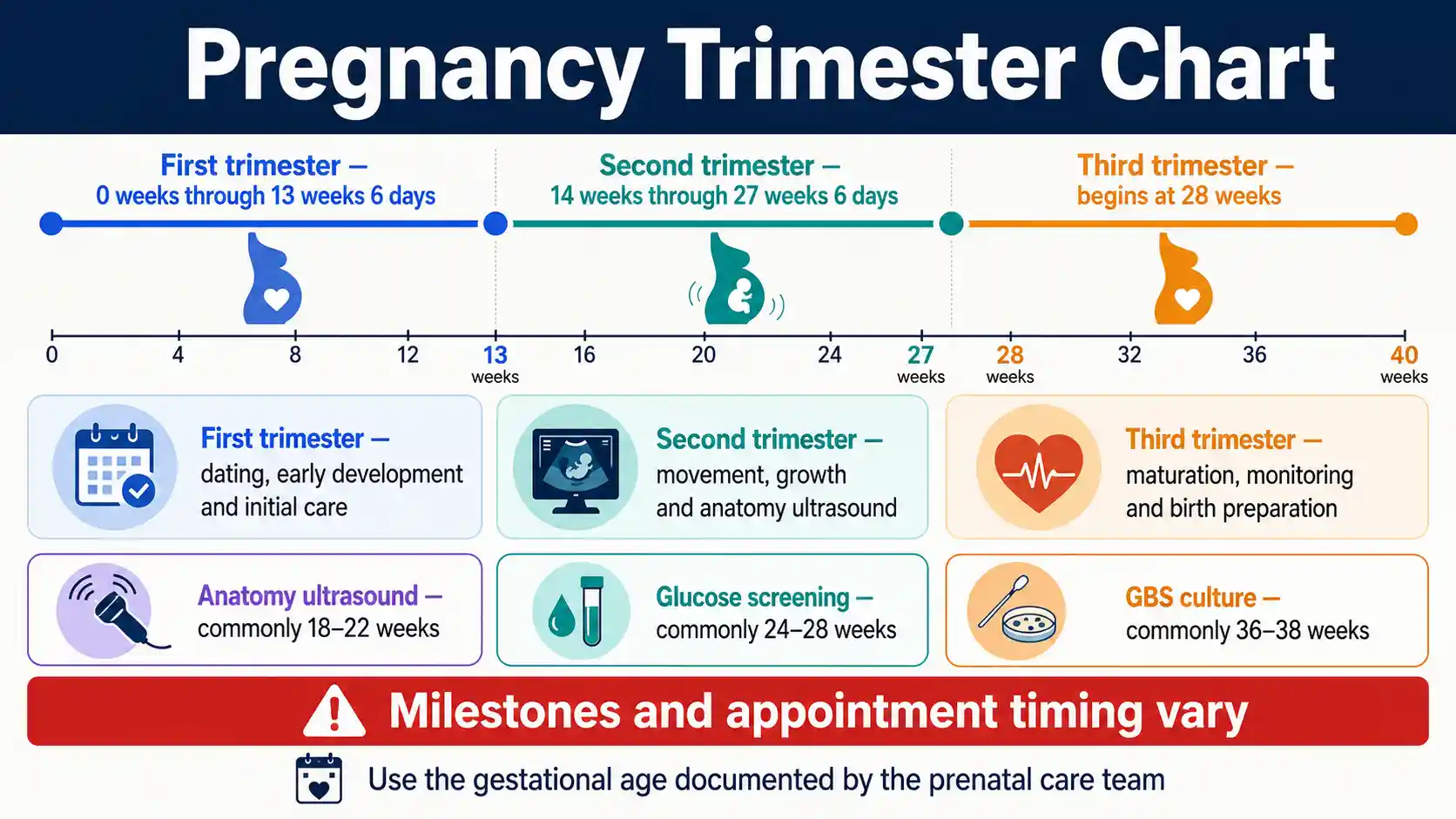 Pregnancy Trimester Chart with first, second and third trimester weeks, milestones, tests and care timing