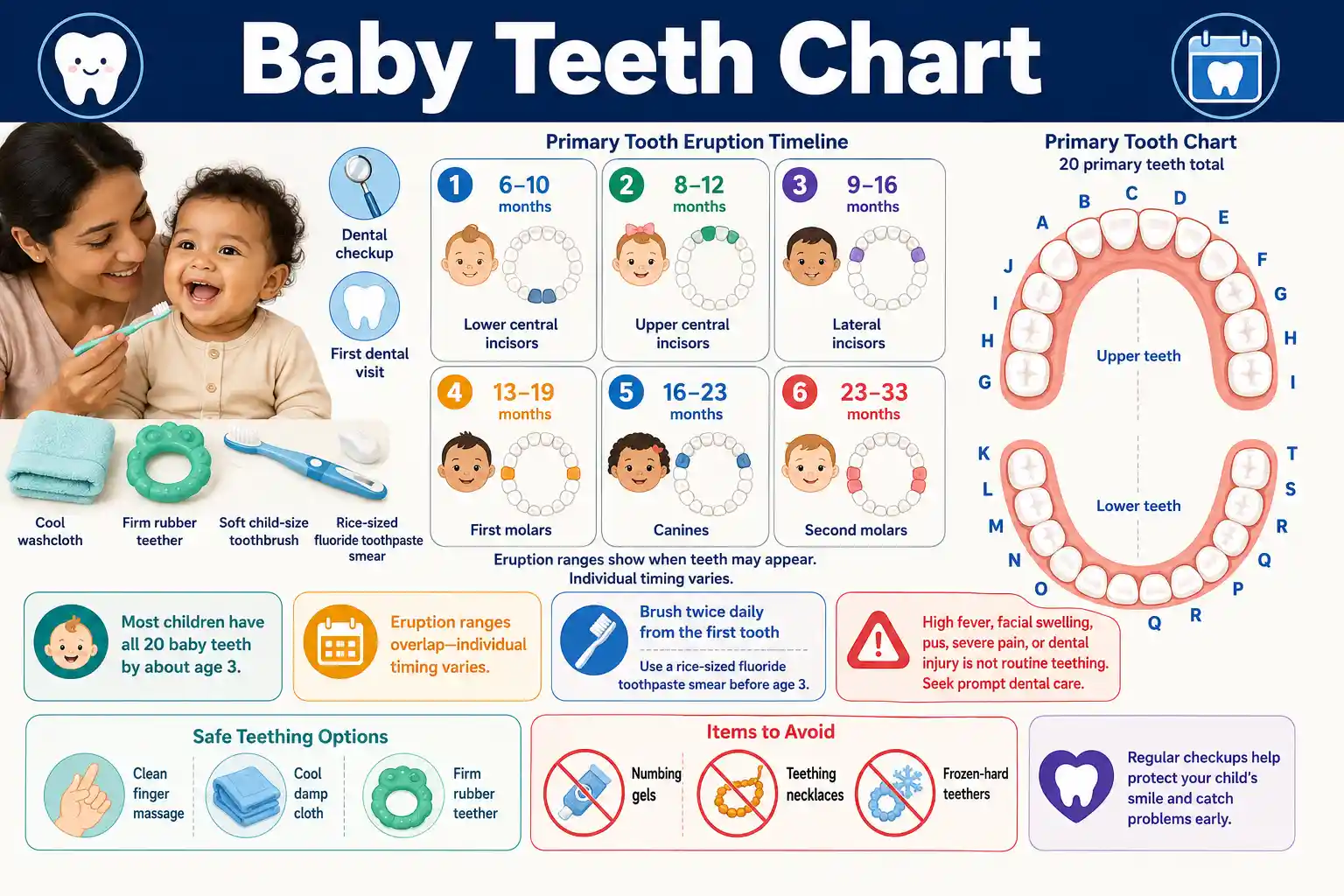 Baby Teeth Chart showing primary tooth eruption ages, 20 baby teeth, safe teething relief, brushing, fluoride toothpaste, and dental warning signs