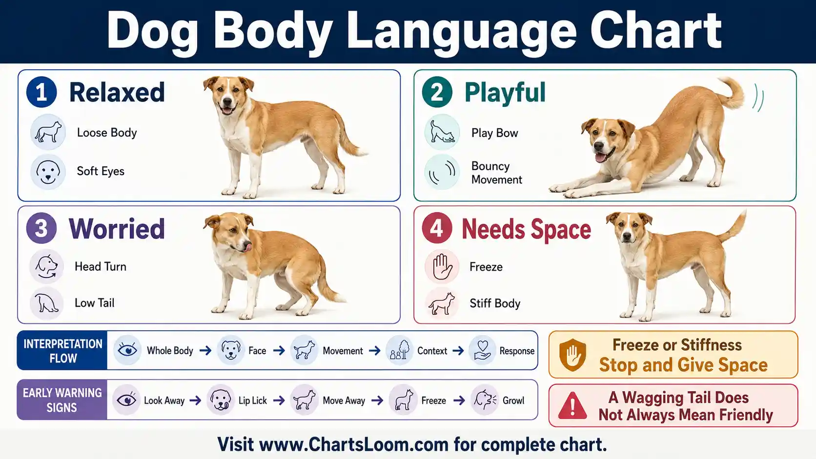 Dog Body Language Chart showing relaxed, playful, worried and distance-seeking posture examples