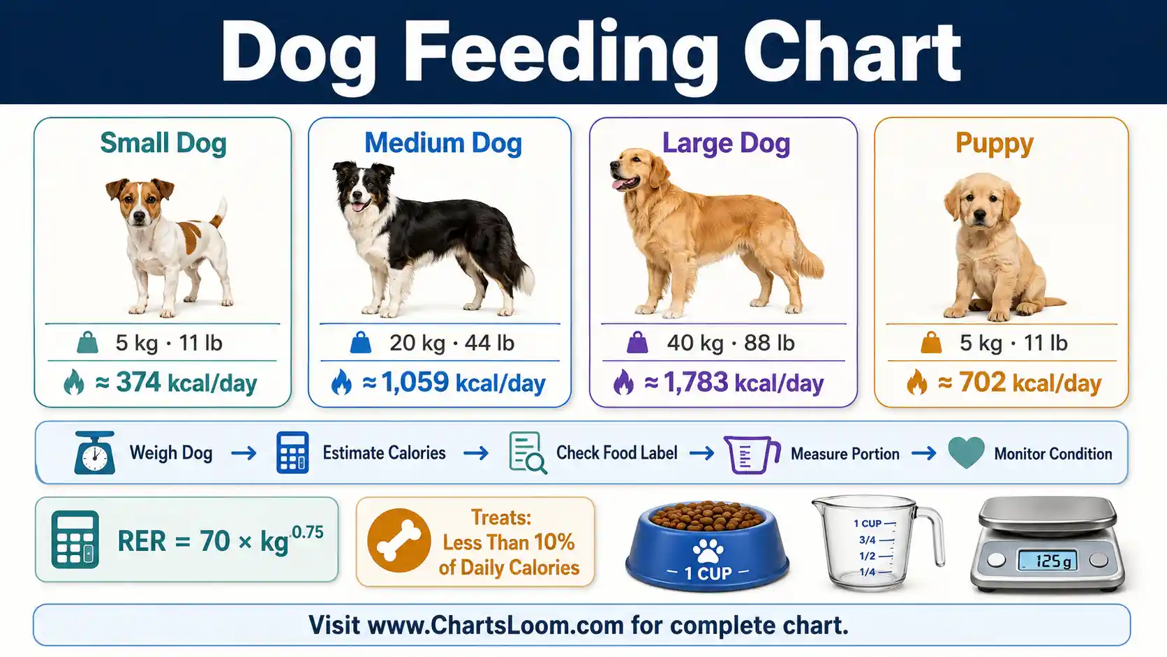 Dog Feeding Chart showing daily calories, food portions, meal frequency and treat allowance by weight and life stage