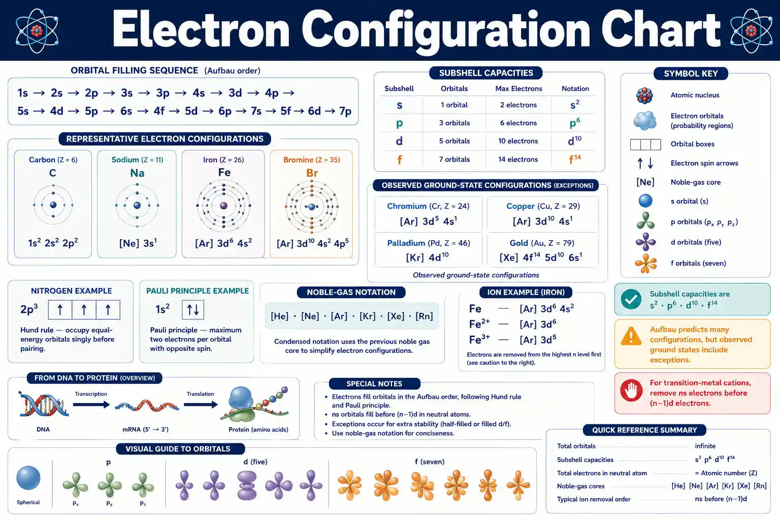 Electron Configuration Chart showing orbital filling order, subshell capacities, noble-gas notation, common exceptions, and ions