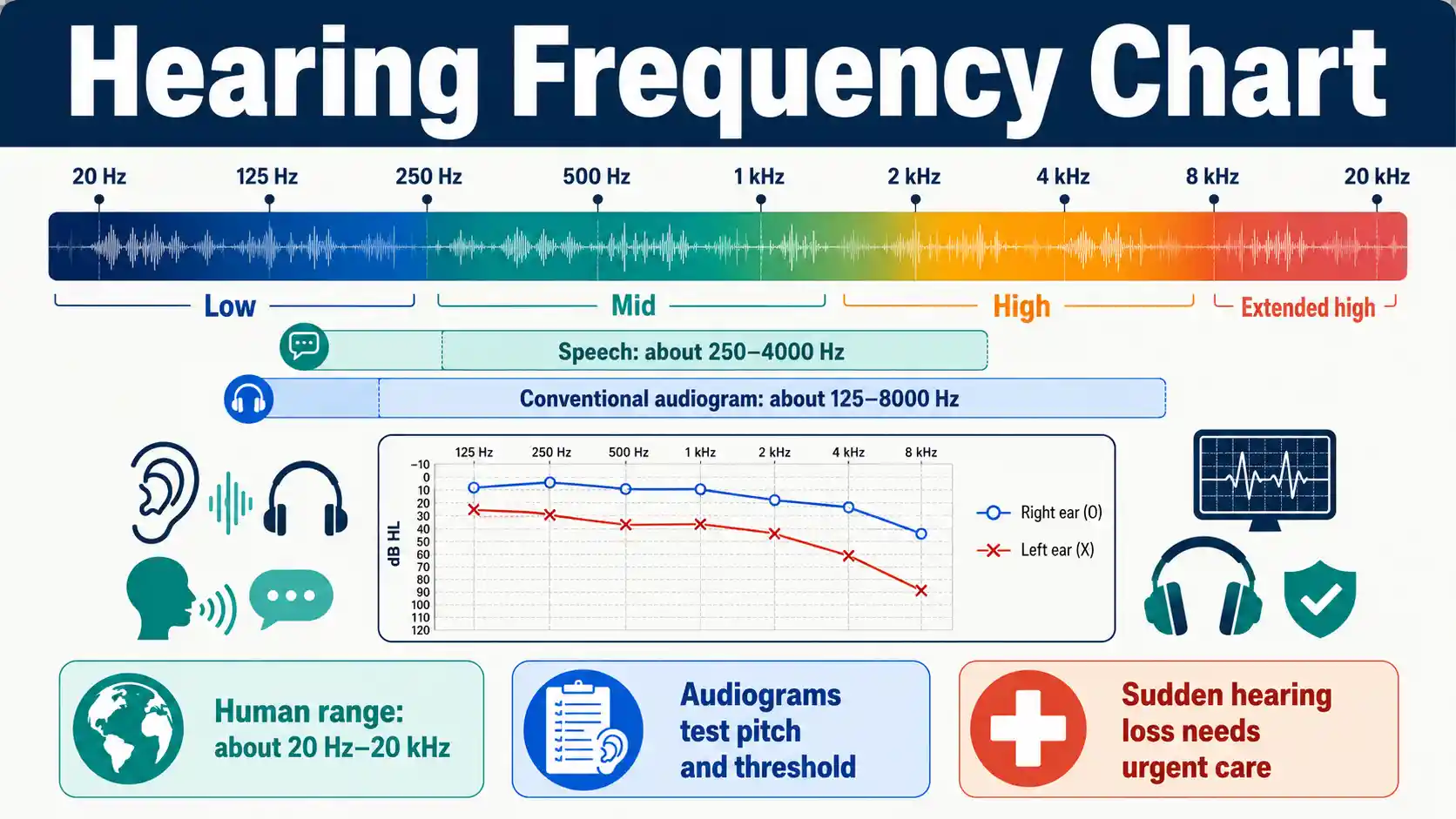 Hearing Frequency Chart showing human audible range, speech frequencies, audiogram test points, pitch bands, and safe interpretation