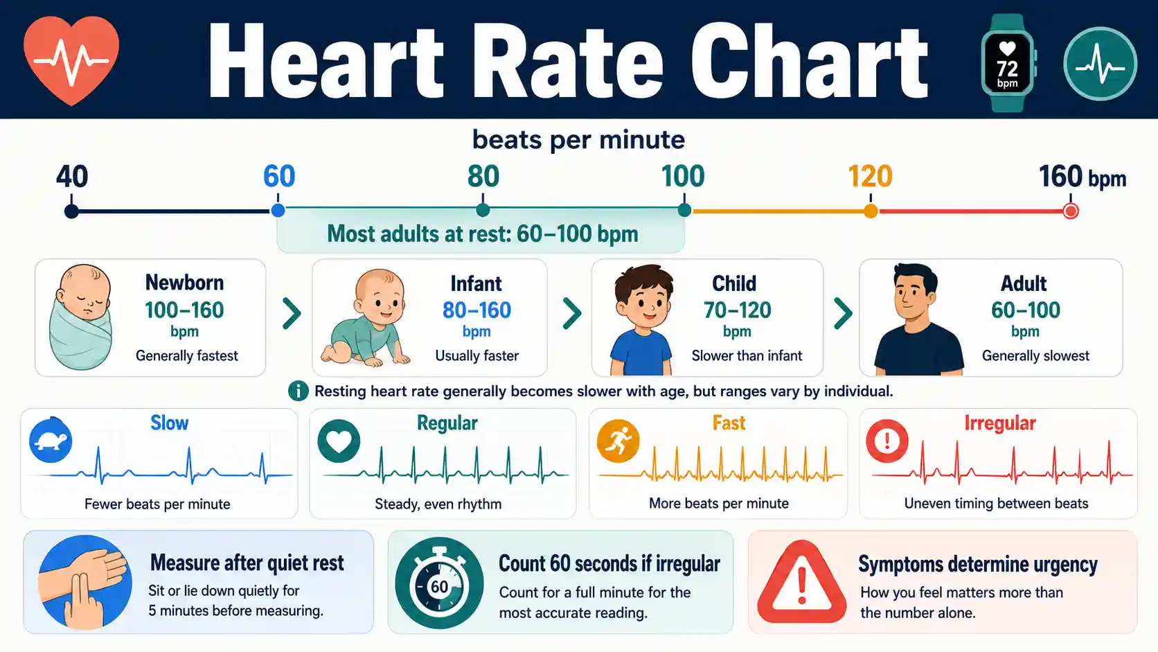 Heart Rate Chart showing resting pulse by age, slow and fast rates, regular and irregular rhythm, pulse measurement, and urgent warning signs
