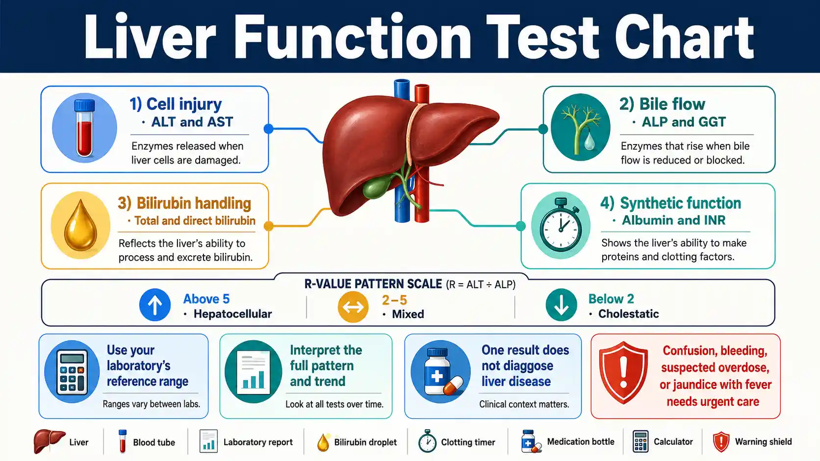 Liver function test chart showing ALT, AST, alkaline phosphatase, bilirubin, albumin, INR, biochemical patterns, and warning signs