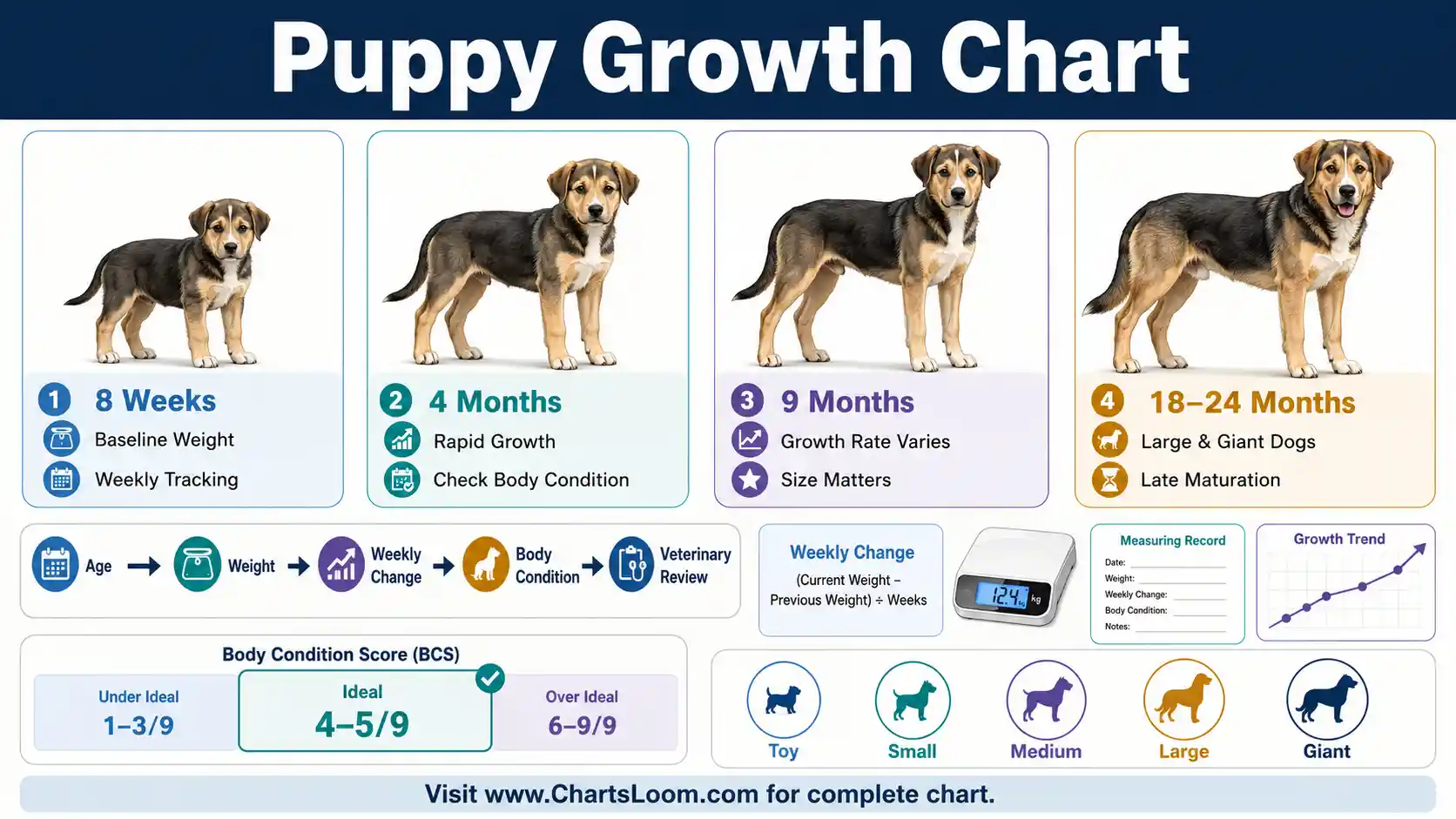 Puppy Growth Chart with age checkpoints, weight tracking, body condition and size-related maturity guidance