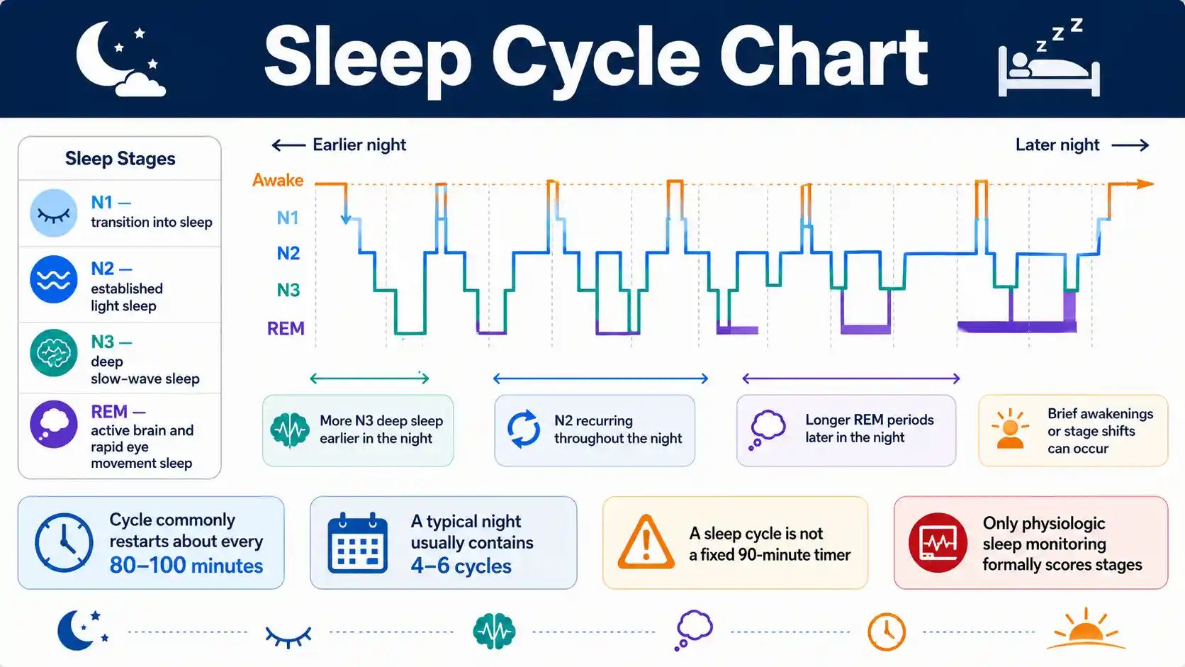 Sleep Cycle Chart showing NREM stages N1, N2 and N3, REM sleep, early deep sleep, later REM, and variable 80 to 100 minute cycles